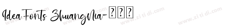 IdeaFonts ZhuangNia字体转换